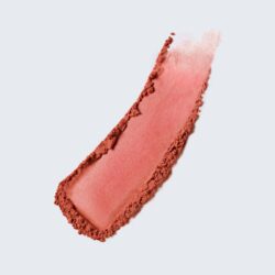 رژگونه و رژلب استیکی چندکاره استی لادر
