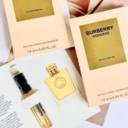 عطر بربری گادس ادو پرفیوم سمپل ۱.۵ میلی‌لیتر