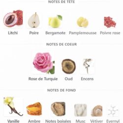 عطر دلینا اکسکلوسیف پارفوم د مارلی ۱۰ میل